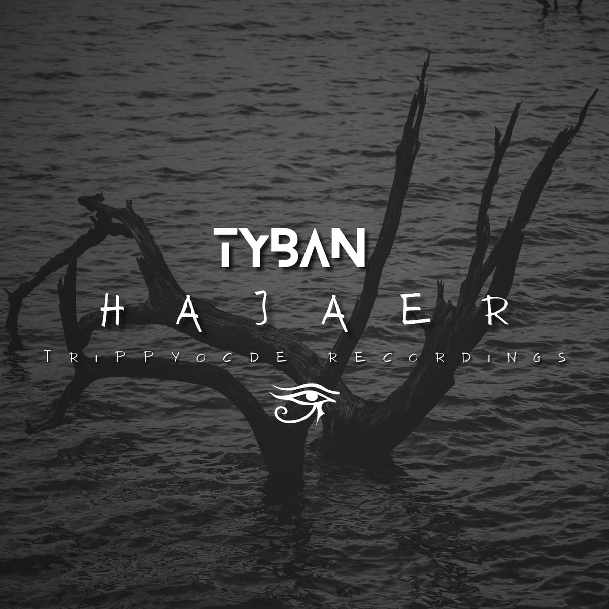 Hajaer (Trippycode)